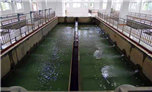 黄陂新武湖水厂净水工程