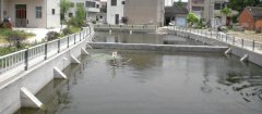 Xiamen STP Project