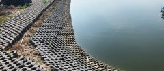 Project Site of Jinshan District