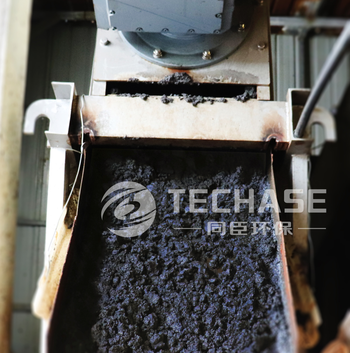 Visit Installation Site of Jiaxing Petrochemical Company