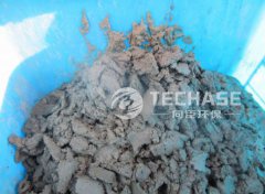 China: Biogas Plant
